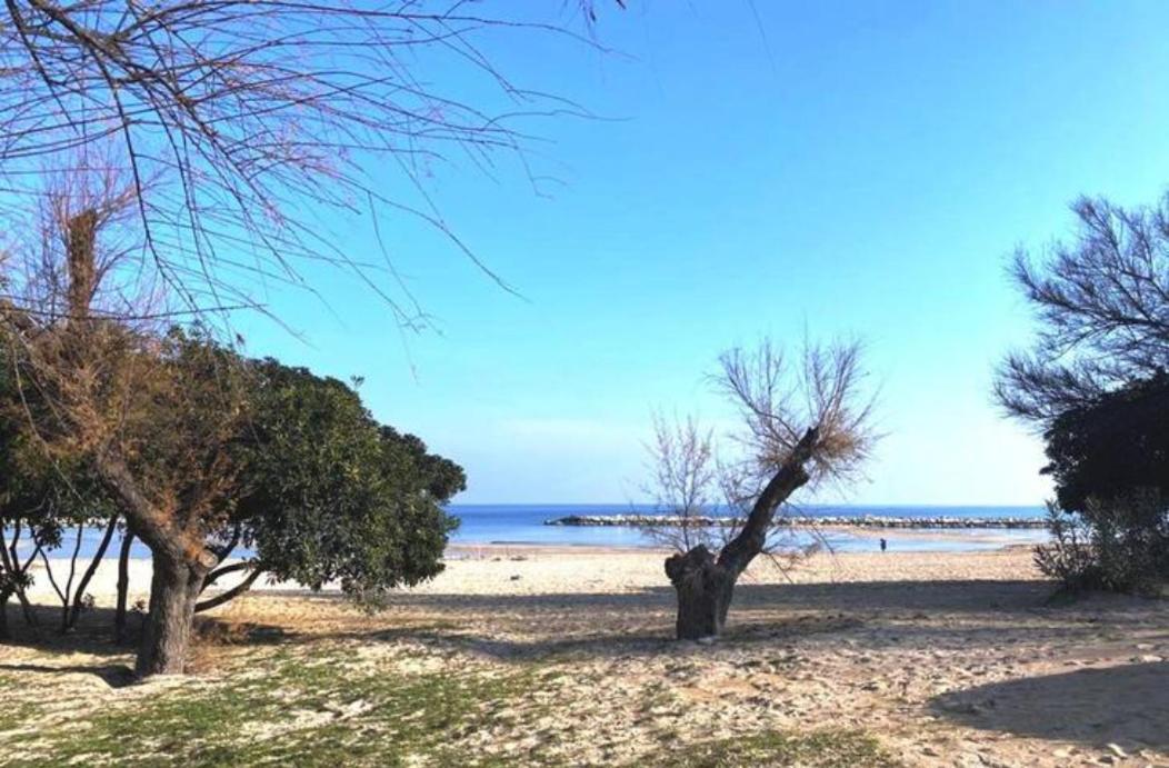 شقة Dimora Mare باري المظهر الخارجي الصورة